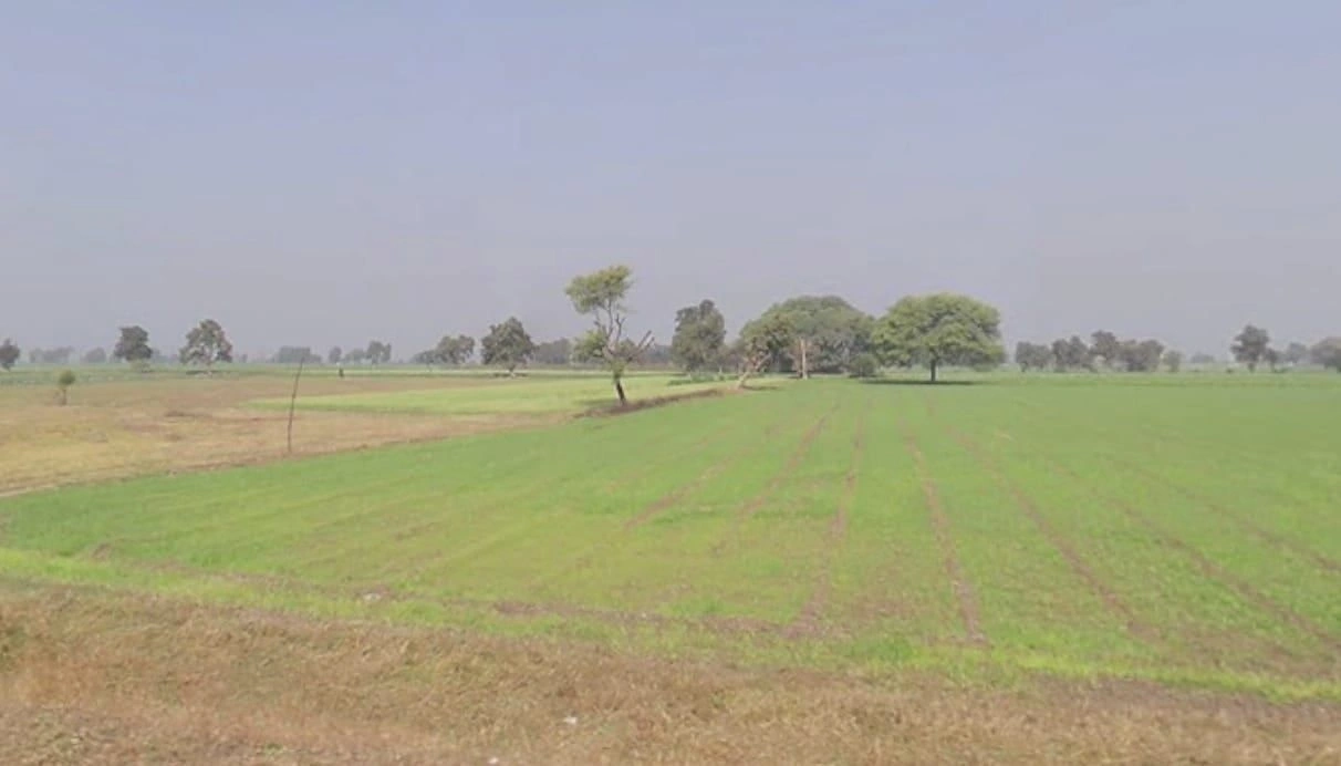 Pandhaniya, Madhya Pradesh 451115, India