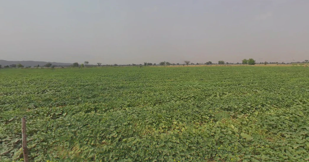 Bansur-Kotputli Rd, Kotputli, Rajasthan, India
