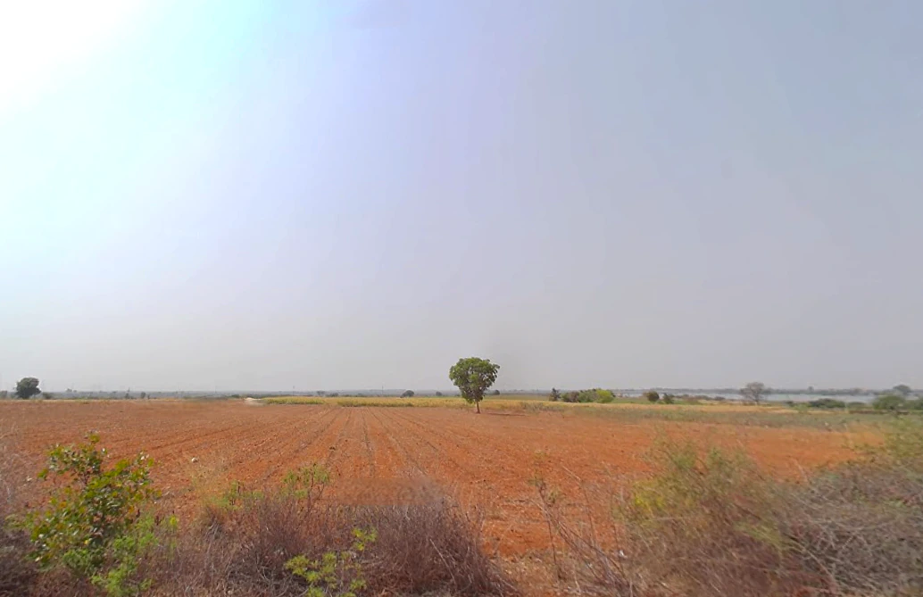 3FV7+R8 Roddam, Andhra Pradesh, India