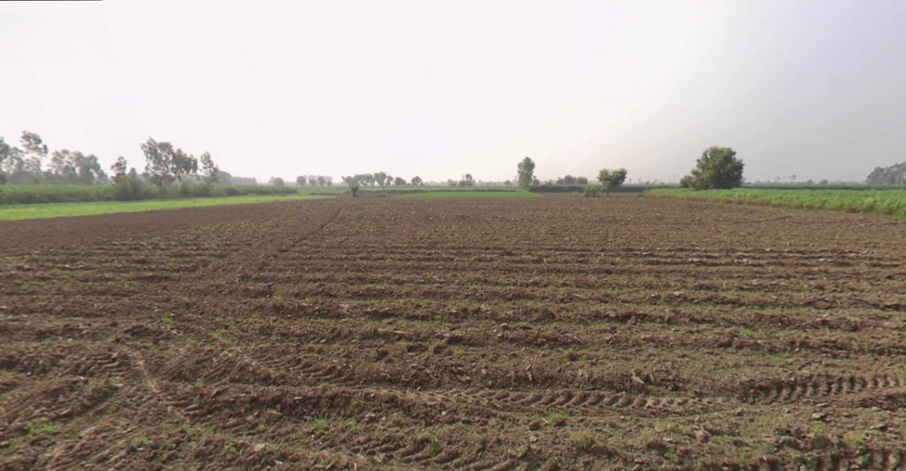 Roorkee, Uttarakhand, India