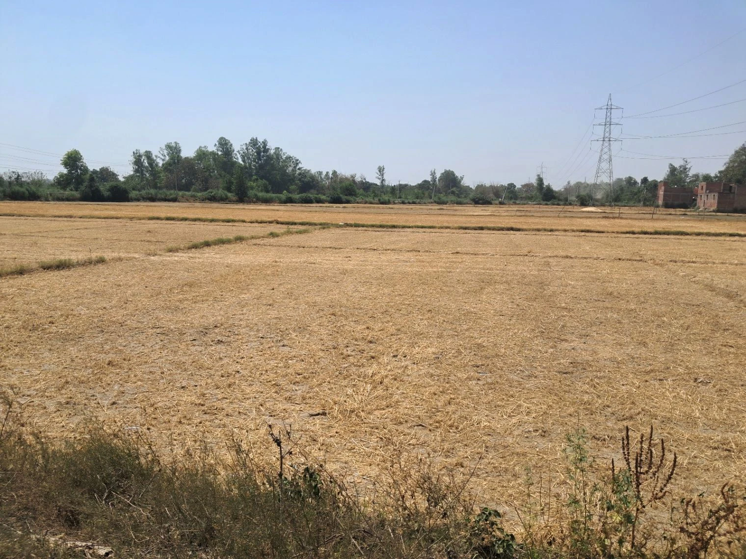 P6RV+J4 Mohtarim Pur Uparhar, Uttar Pradesh, India