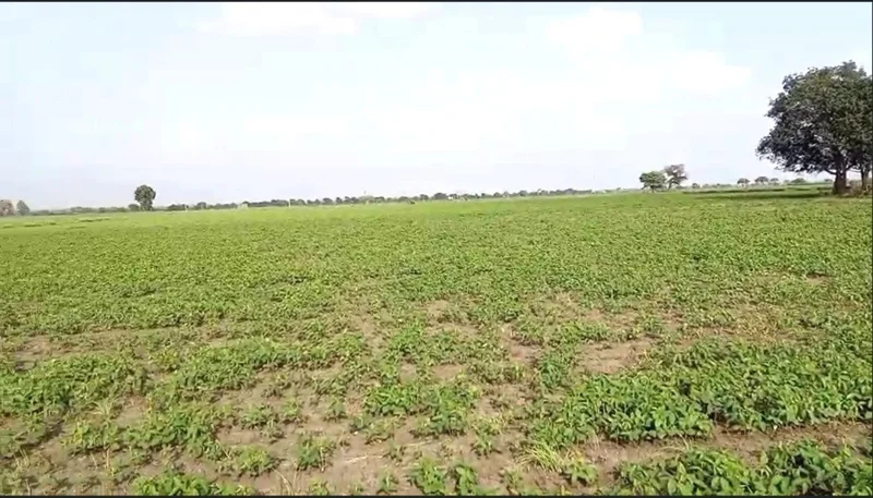 Suneda, Madhya Pradesh 456222, India preview 3