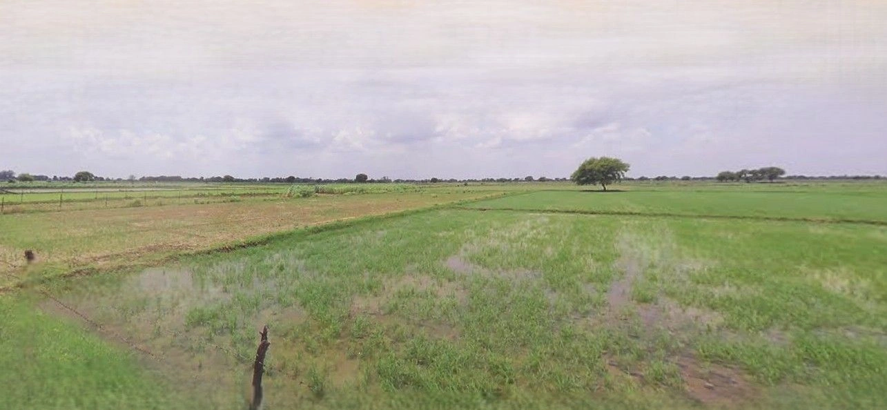 Nakur, Uttar Pradesh 247342, India preview 2