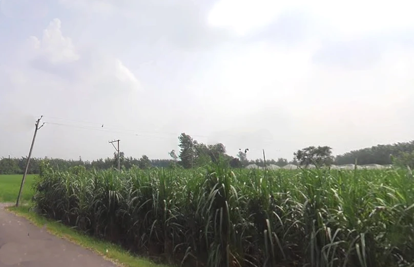 Pilkhani, Uttar Pradesh 247451, India