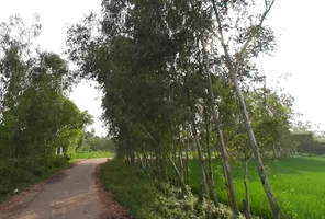 Mirzapur Pole, Uttar Pradesh 247121, India preview 3