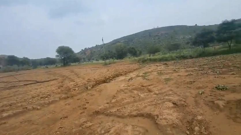 636Q+2X2, Jaipur, Dharawas, Rajasthan 303120, India - Photo 3