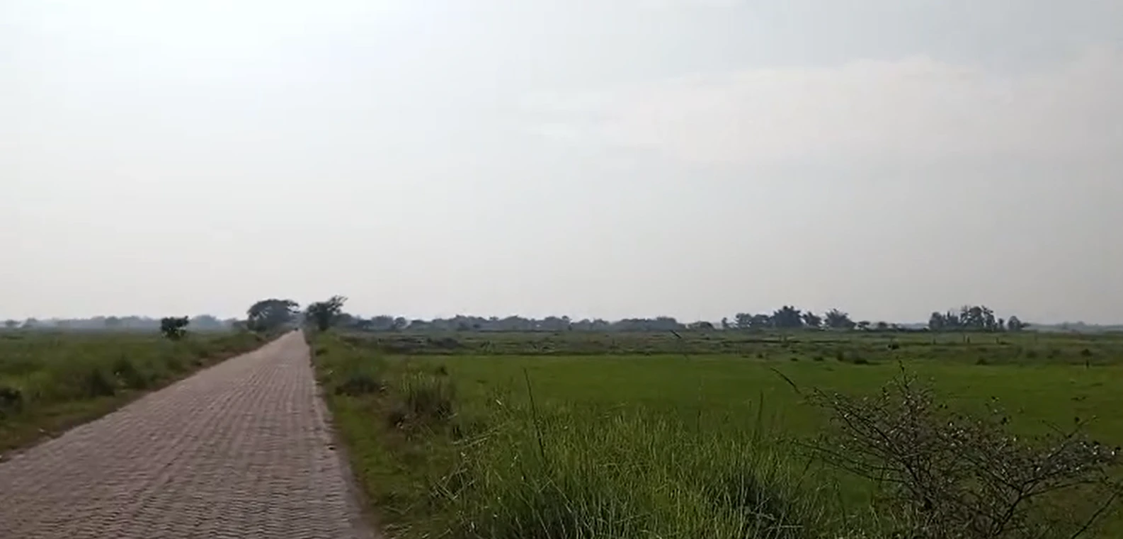 3R7F+489, Ujjain, Ramwasa, Madhya Pradesh, India