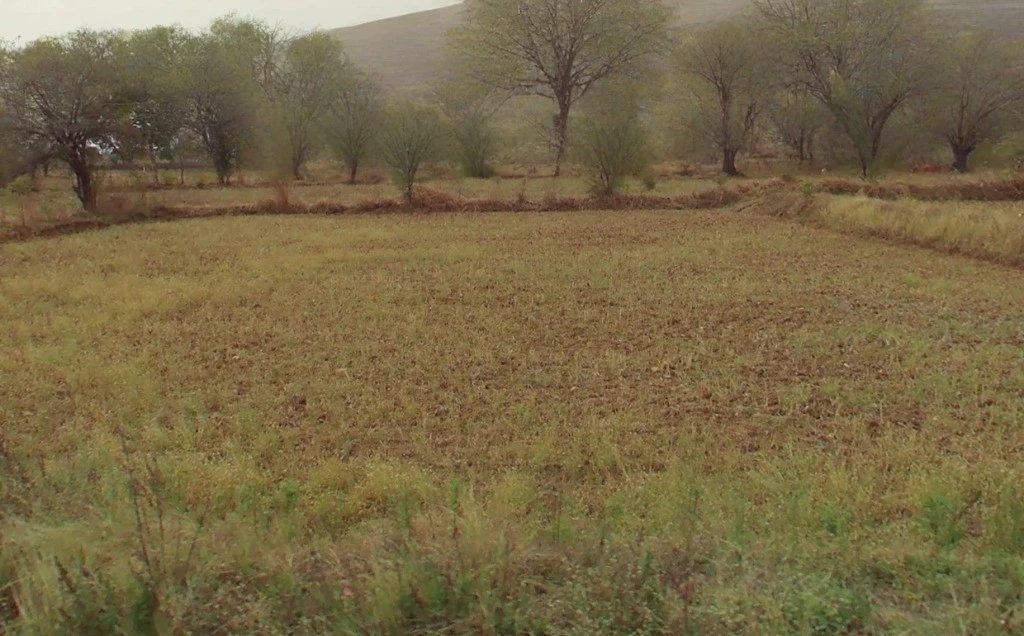 Abhanpur, Chhattisgarh 493661, India