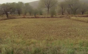 Abhanpur, Chhattisgarh 493661, India preview 3