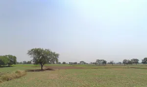 Kathakoni, Chhattisgarh 495003, India preview 3