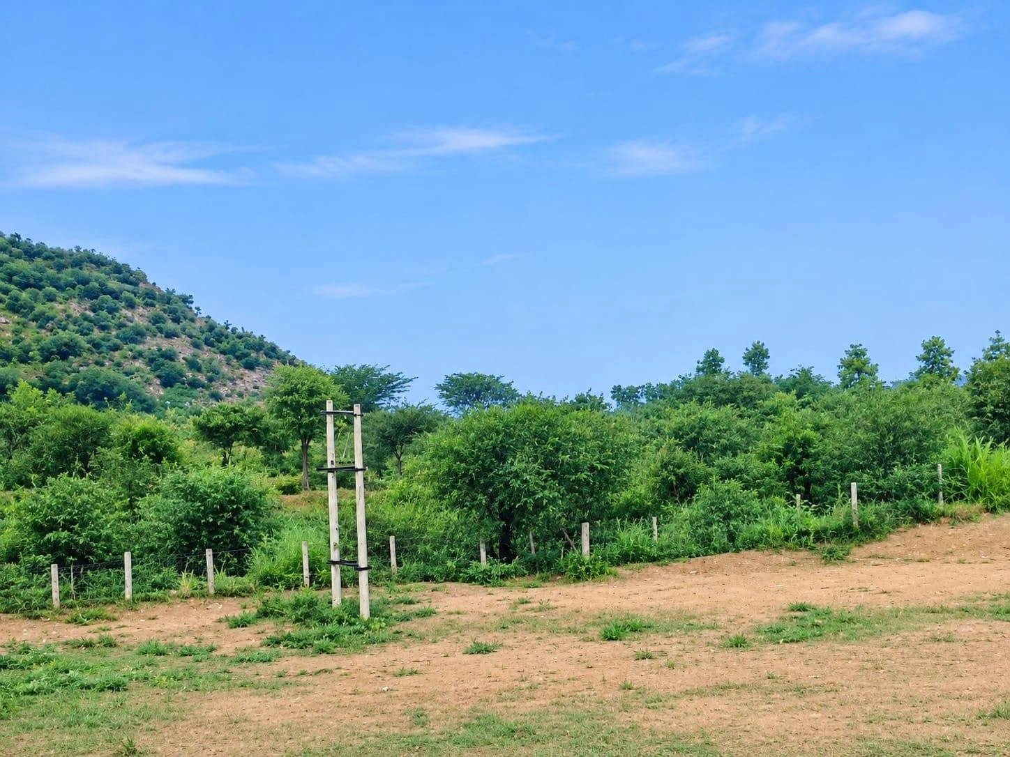 Neemawas, Sikar, Rajasthan 332702, India - Photo 2