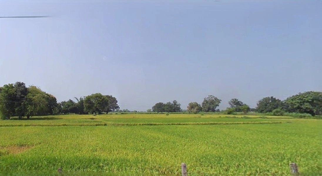 Baberu, Uttar Pradesh 210121, India