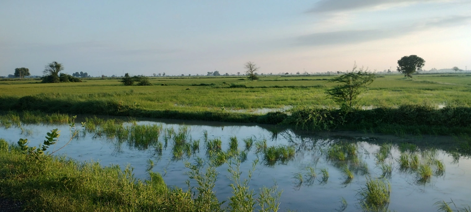 Helak, Rajasthan, India