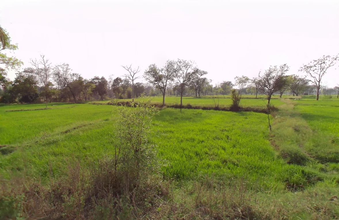 Amleshwar, Chhattisgarh 490042, India