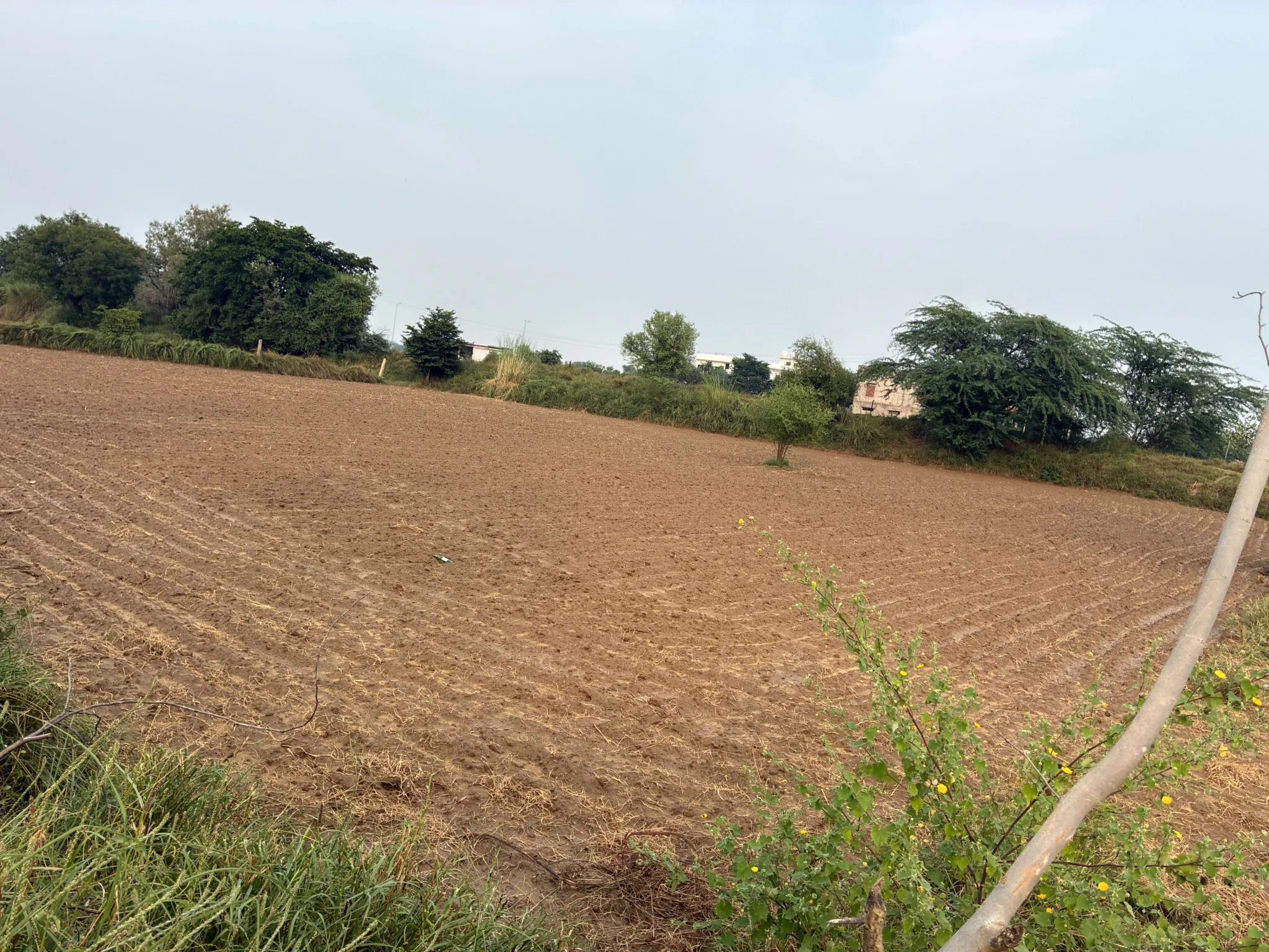 Deeg, Rajasthan - Photo 2