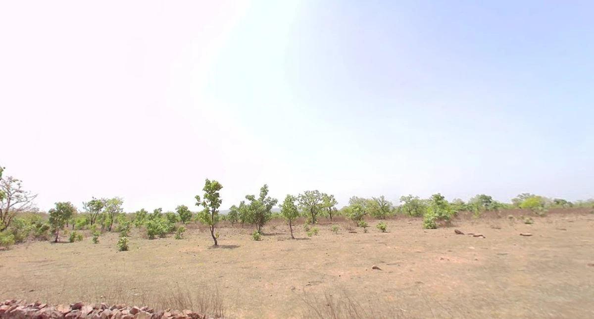 Manasa, Madhya Pradesh 458110, India