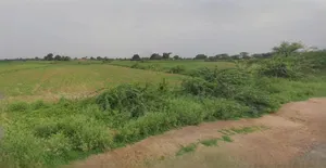 Ujjain, Madhya Pradesh, India preview 2