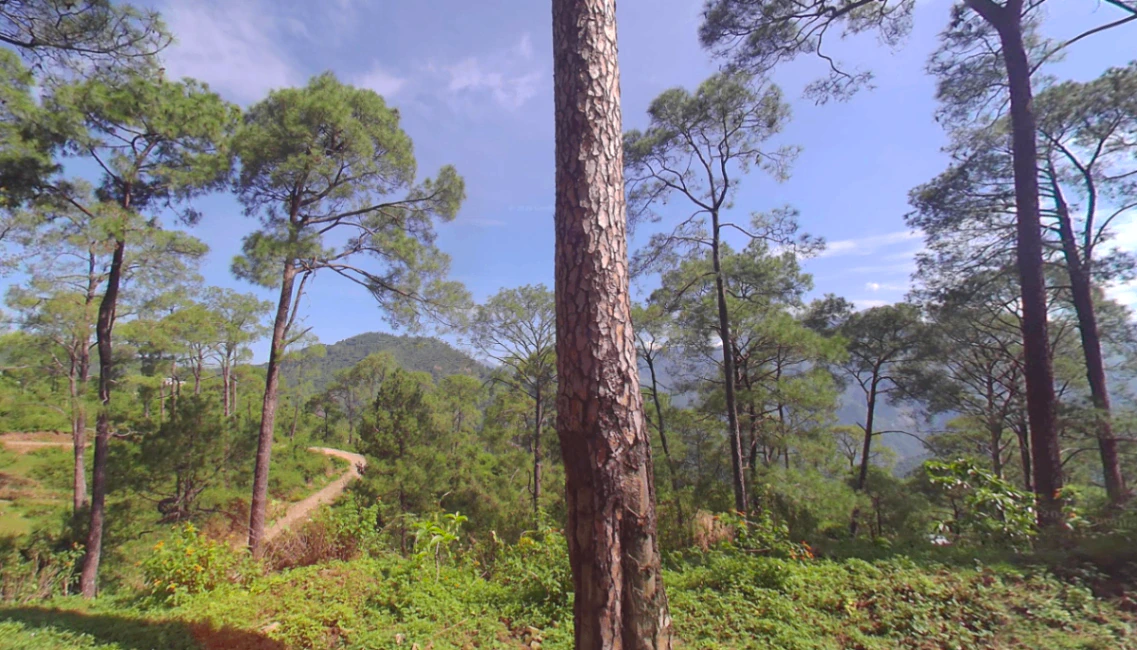 Renuka Ji, Himachal Pradesh 173022, India