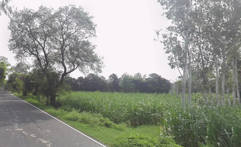 Kalsiya, Uttar Pradesh 247120, India preview 2