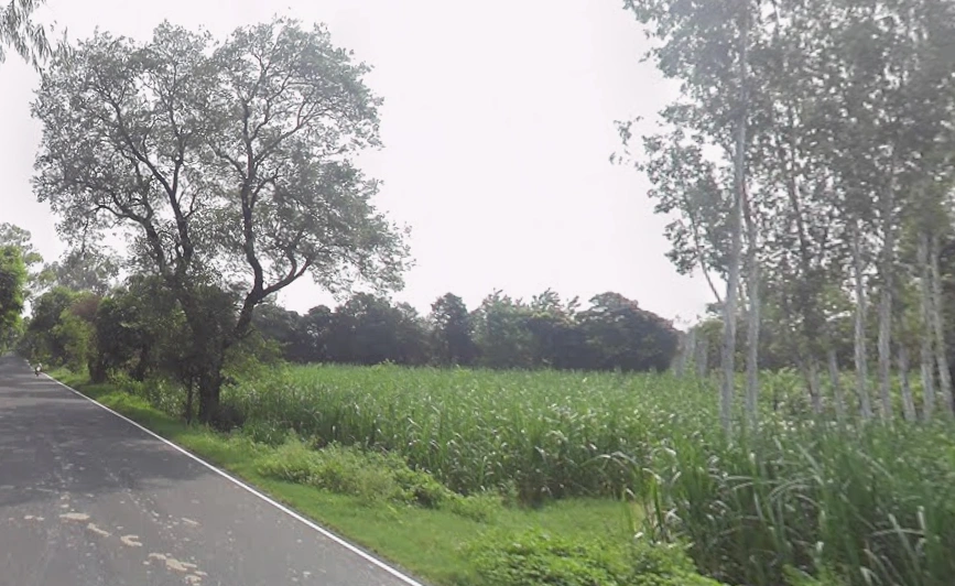 Kalsiya, Uttar Pradesh 247120, India