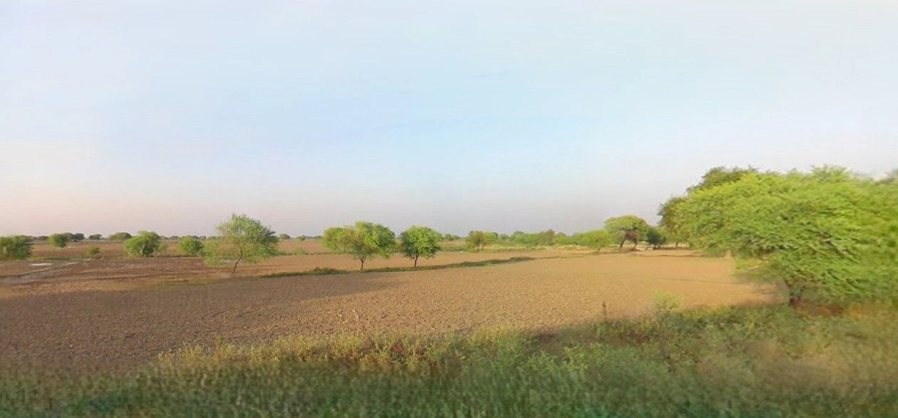 Ramnagar, Uttarakhand 244715, India