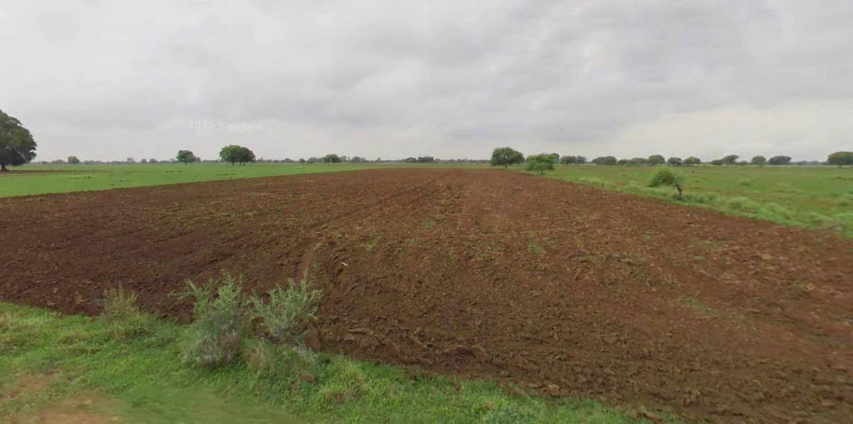 Jhajjar, Haryana 124103, India