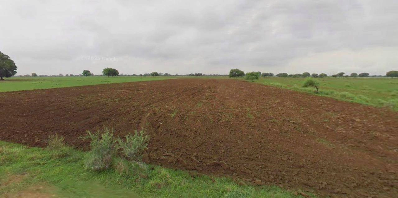 Jhajjar, Haryana 124103, India