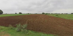 Jhajjar, Haryana 124103, India preview 3