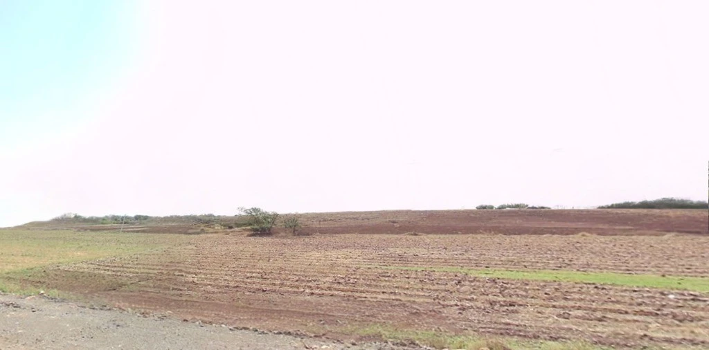 Rajpura, Punjab, India