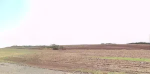 Rajpura, Punjab, India preview 3