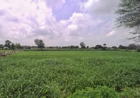 Salempura, Rajasthan 303511, India preview 3
