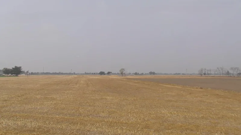 Devigarh Rd, Sunny Enclave, Raymajra, Punjab 147103, India preview 3