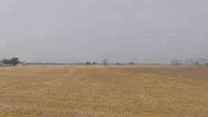 Devigarh Rd, Sunny Enclave, Raymajra, Punjab 147103, India preview 3
