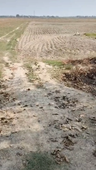 Dihwa, Ballia, Uttar Pradesh, India preview 2