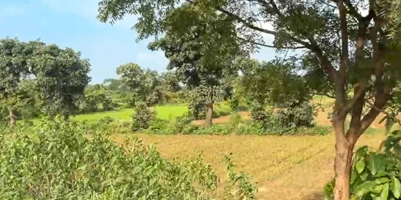 419, Jabalpur, Panagar, Madhya Pradesh 483220, India