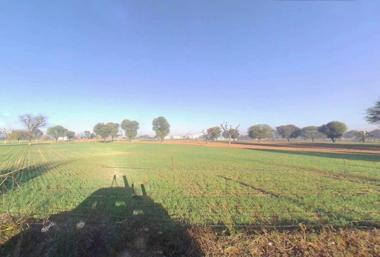 Kaladera, Rajasthan 303801, India preview 3