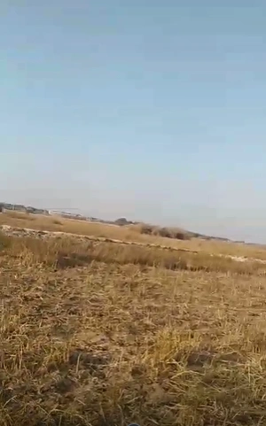1, Mathura, Govardhan, Uttar Pradesh 281123, India - Photo 2