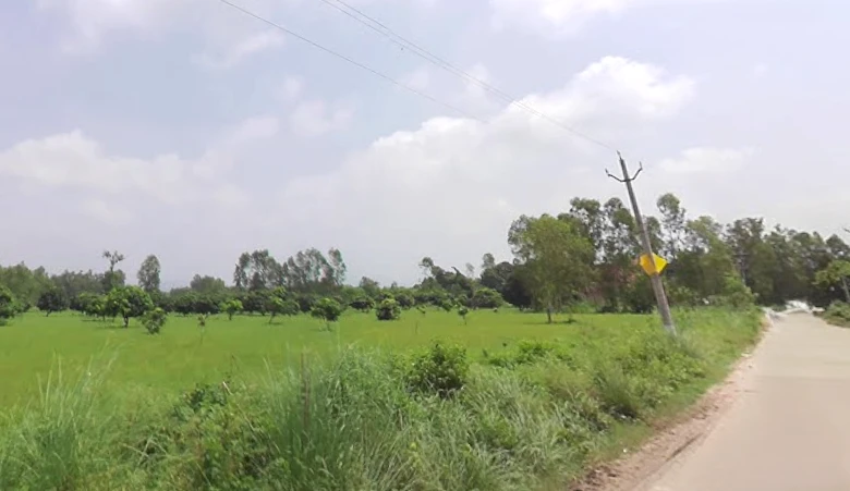 Jaitpur Kalan, Uttar Pradesh 247129, India