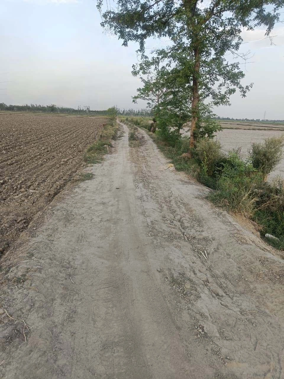 Sankhi, Uttar Pradesh 281401, India