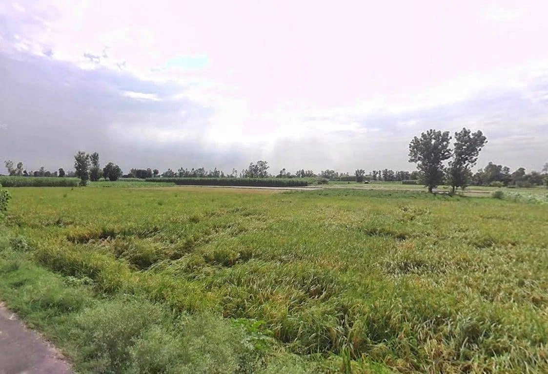 00, Saharanpur, Gangoh, Uttar Pradesh 247341, India