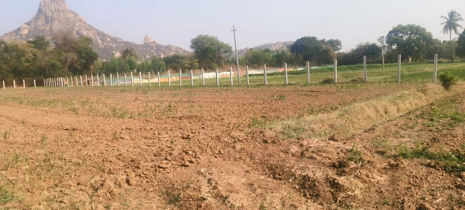 JJQ7+M9 Vaddenahalli, Karnataka, India