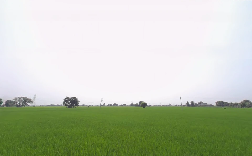 Machhike, Punjab 142039, India