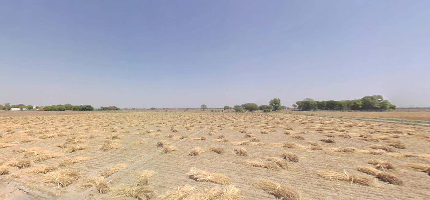 Chekhla, Gujarat 382115, India