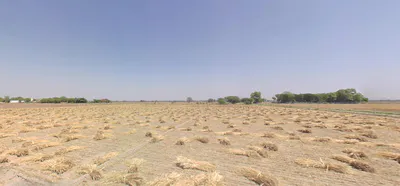 Chekhla, Gujarat 382115, India preview 3