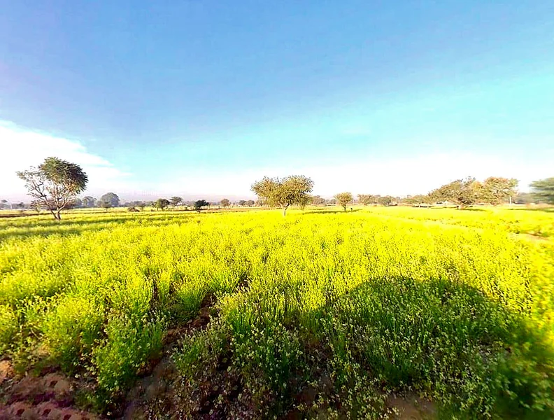 Khejrawas, Rajasthan 303124, India preview 3