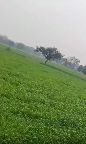 X74H+VHP, Dewas, Sarsoda, Madhya Pradesh, India