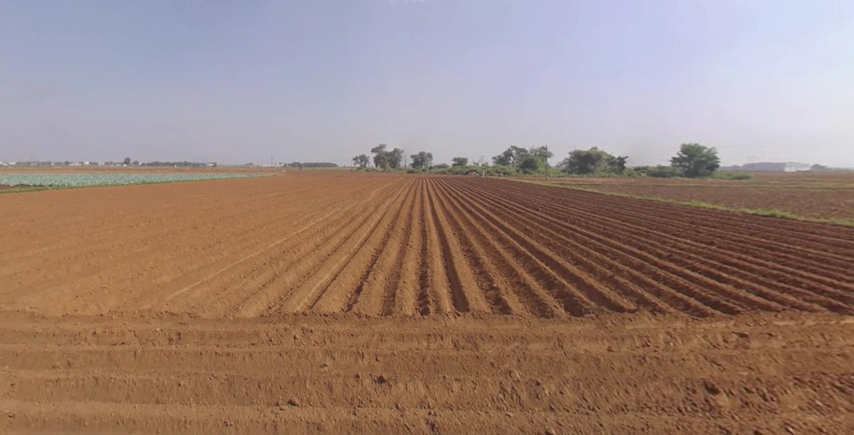 Plasva, Gujarat 362015, India