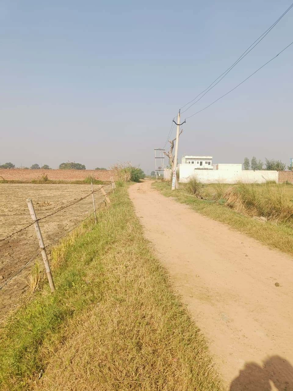 Barhana, Mathura, Uttar Pradesh, India