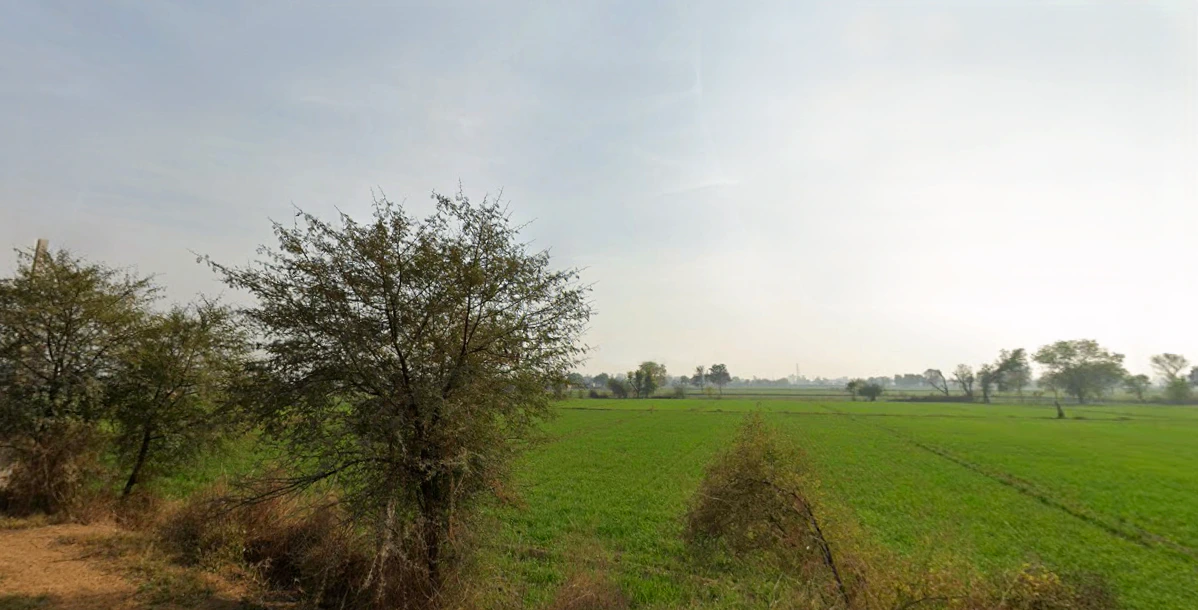 Kaimri, Haryana 125005, India