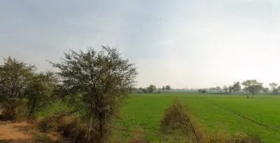 Kaimri, Haryana 125005, India preview 2